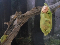 Bozzoli – Alba nel Bosco / Cocoons – Dawn in the forest 
